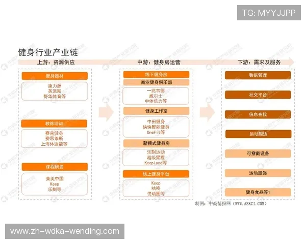 健身器材经营状况说明及行业发展潜力分析 健身器材经营状况说明及行业发展潜力分析