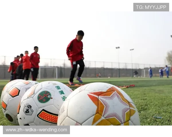 足球青训配额制度是否真正实现了年轻球员的上场机会保障