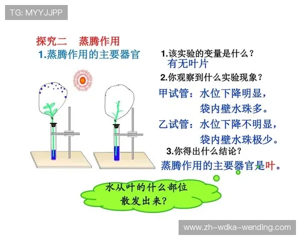足球黄金补给时：蛋白粉摄入的赛场时间生物学